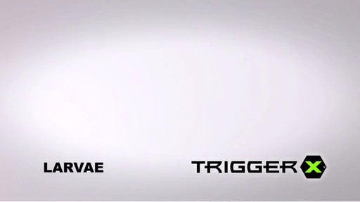 Trigger X 1/2